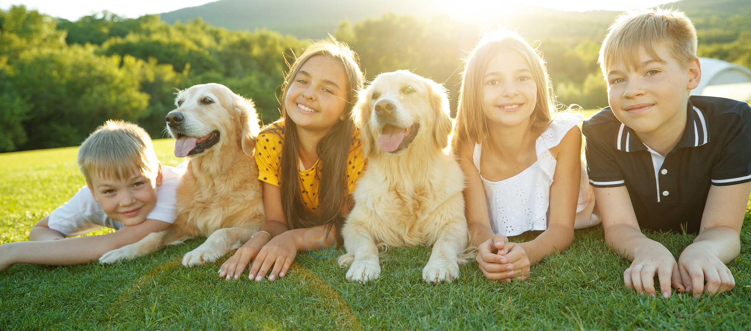 Wags To Riches Animal Rescue logo