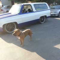 Chris' Recovery Shop LLC logo