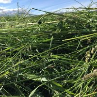 Natural Resource Production Llc logo