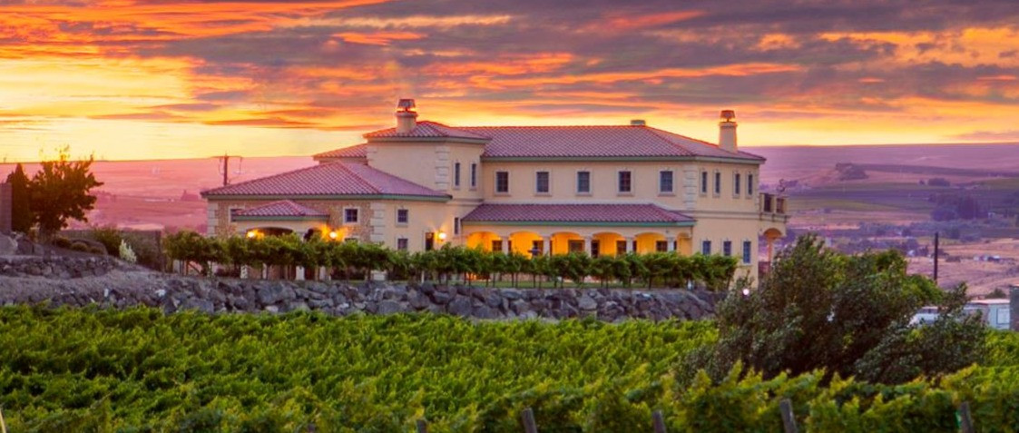 Chandler Reach Vineyards logo