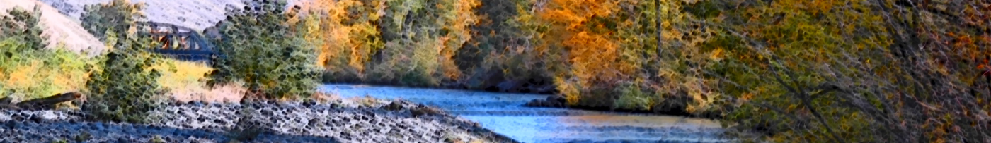 Yakima Valley Periodontics logo