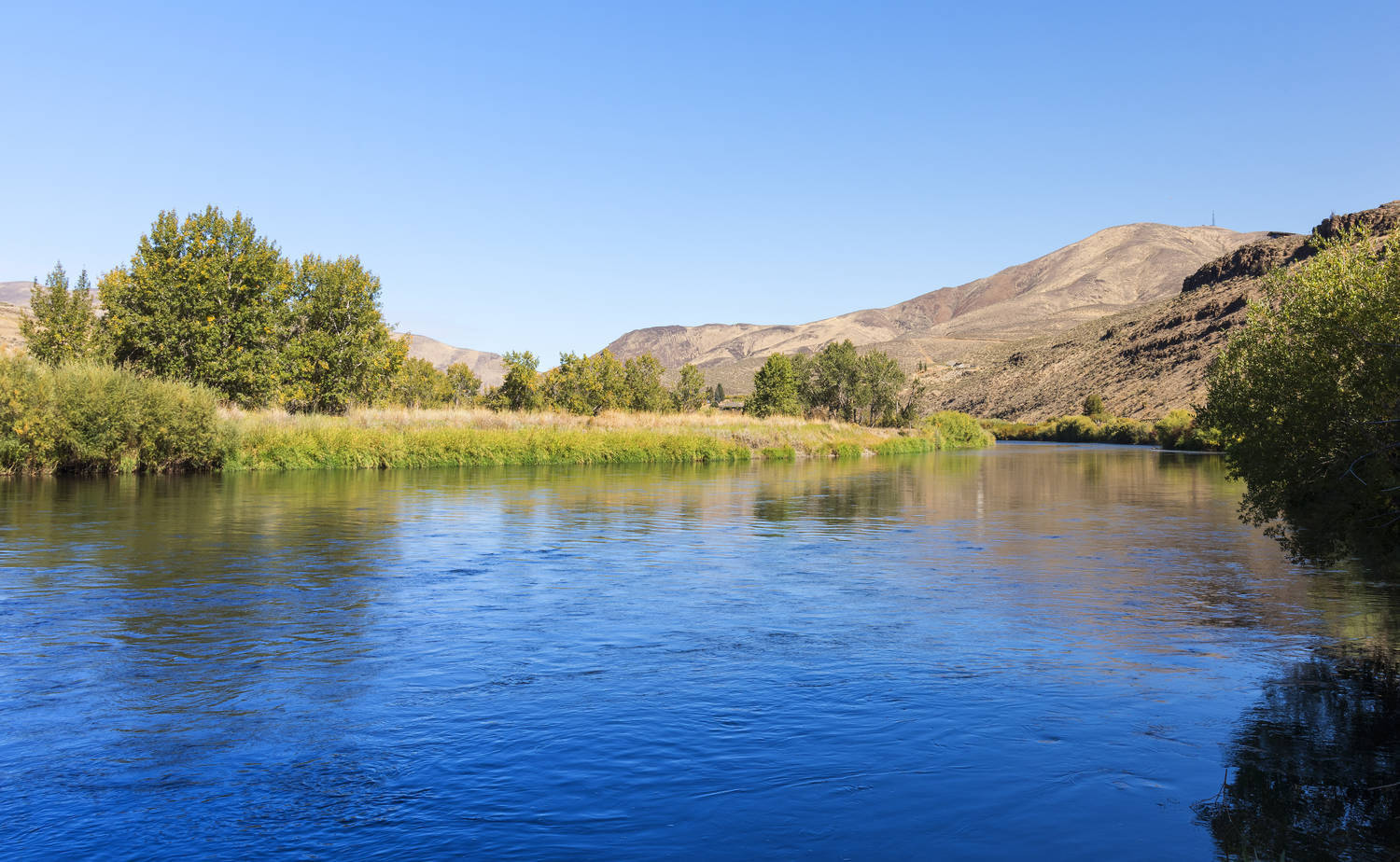 Yakima Regional Clean Air Auth logo
