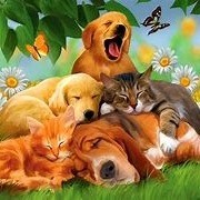Ellensburg Animal Shelter logo