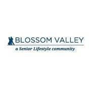 Blossom Valley logo