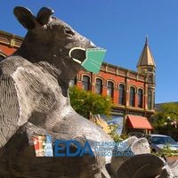 Ellensburg Downtown Association logo