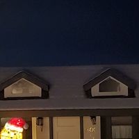 Little Country Preschool logo